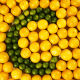 vitamin c hiša zdravja