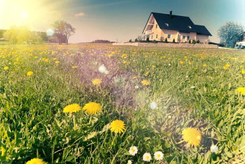 nega trave okrog hiše