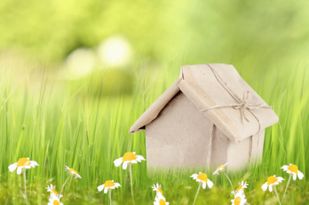 spomladna nega trave