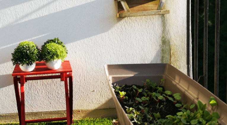 vrt na balkonu
