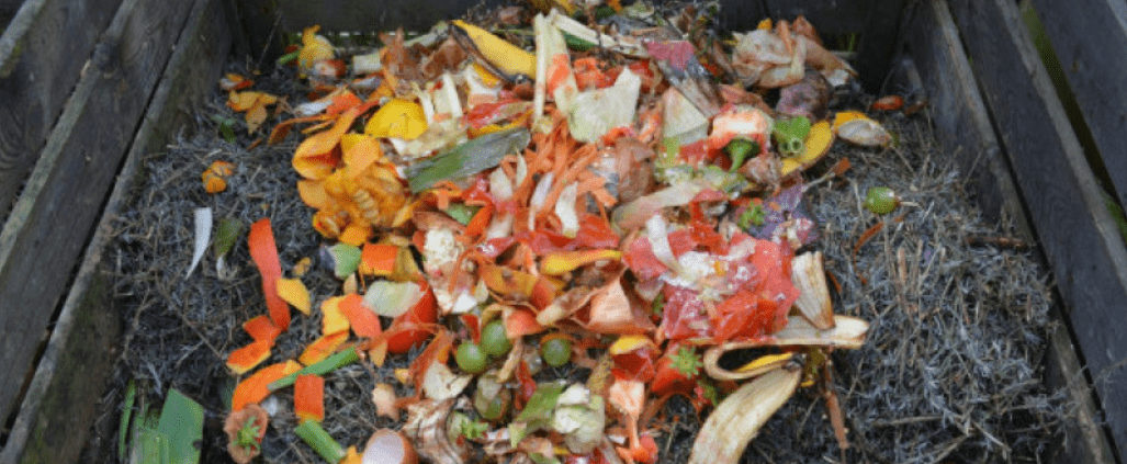 kompost