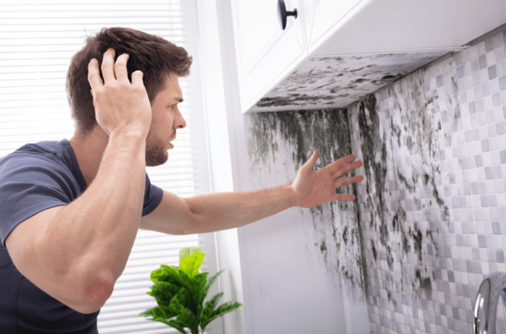 kako odstraniti plesen v prostoru